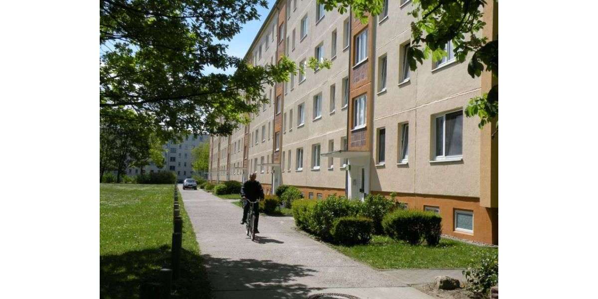 Wohnung zum Mieten in Stralsund 288,64 € 43.08 m² 2 zimmer