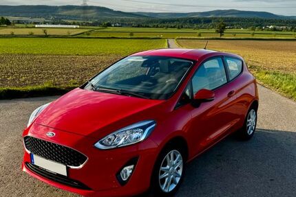 Ford Fiesta 87.500 km 9.850 &euro; Vaihingen 71665