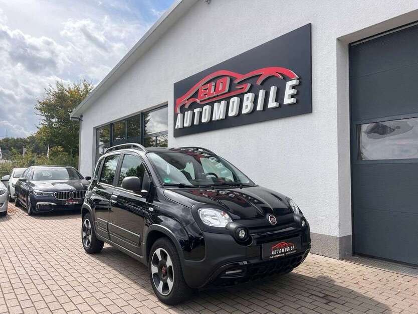Panda