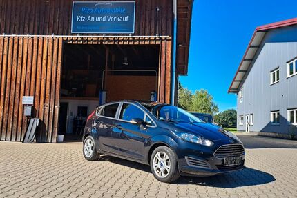 Ford Fiesta 152.062 km 4.190 € Rimsting 83253