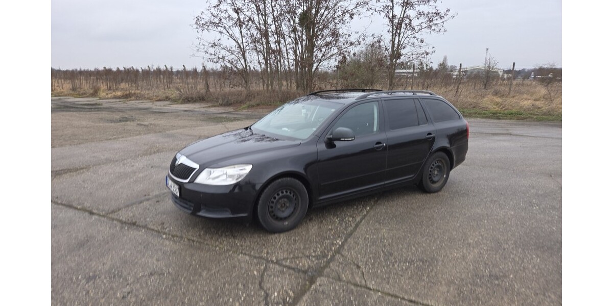 Skoda Octavia Combi 250.000 km 3.000 &euro; Dessau-Roßlau 06844