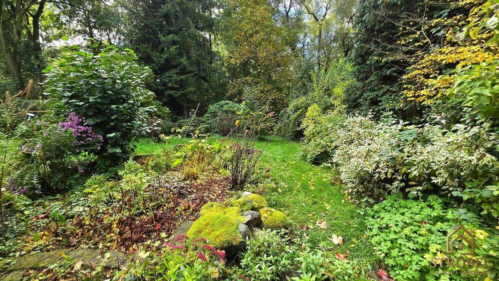 Doppelhaushälfte Dresden Schönfeld - 7 Zimmer, 130 m&sup2;, 450.000&euro; | Angebot:26043436