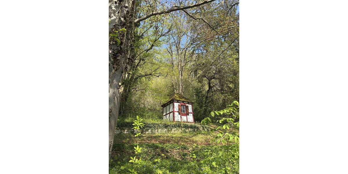 Einfamilienhaus Westhausen Bohler - 1 Zimmer, 312 m&sup2;, 885.000&euro; | Angebot:26797237