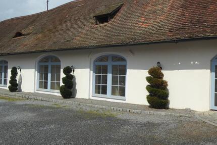 Renoviert: 135 m² Praxisfläche zu vermieten zimmer