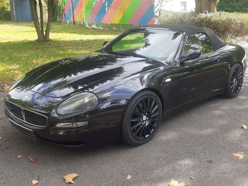 Spyder