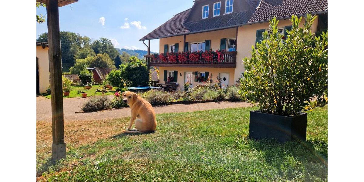 Einfamilienhaus Birkenfeld - 860.000&euro; | Angebot:26266442