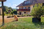 Einfamilienhaus Birkenfeld - 860.000&euro; | Angebot:26266442