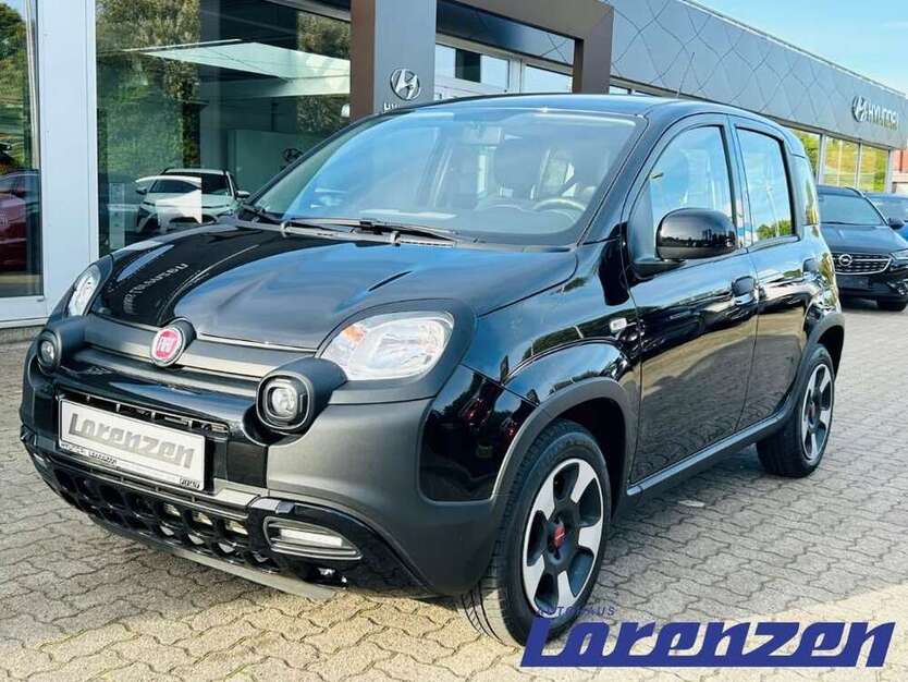 Panda