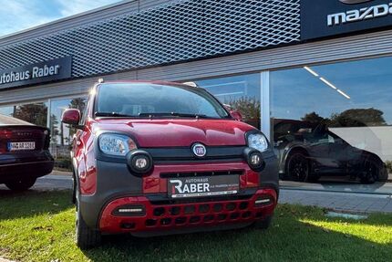 Fiat Panda 70.162 km 12.990 € Neustadt 67433