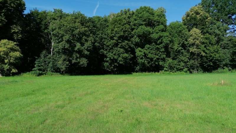 Grundstück zu verkaufen in Lossatal 85.000 € 2642 m²