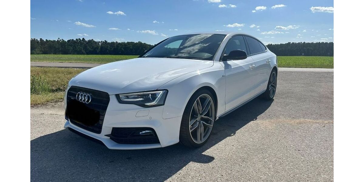 Audi A5 175.000 km 17.690 &euro; Röttenbach 91187