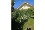 Einfamilienhaus Goldberg - 4 Zimmer, 115 m&sup2;, 334.000&euro; | Angebot:27018329