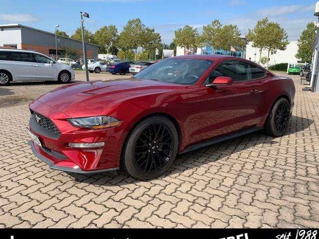 Mustang