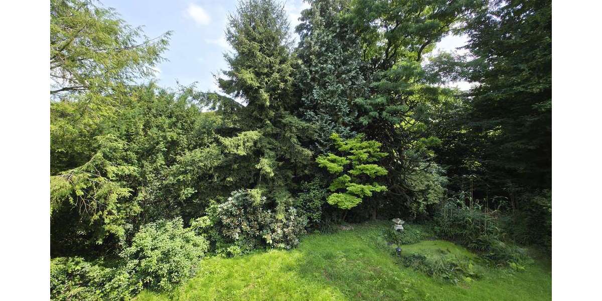 Wohnung zum Kaufen in Burscheid 338.000 € 128 m² 3 zimmer