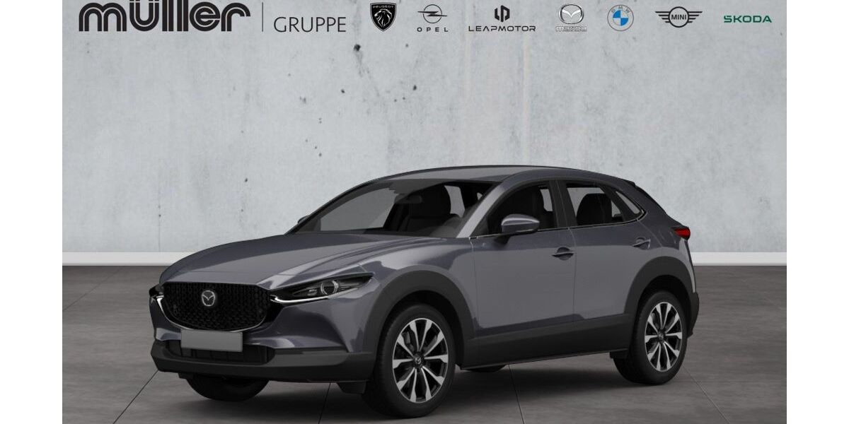 Mazda CX-30 8.665 km 27.701 &euro; Trier 54292