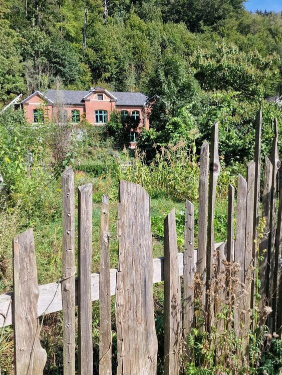 Haus Villa riesen Grundstück Stadtrand Pferde Garten alte Fabrik zimmer