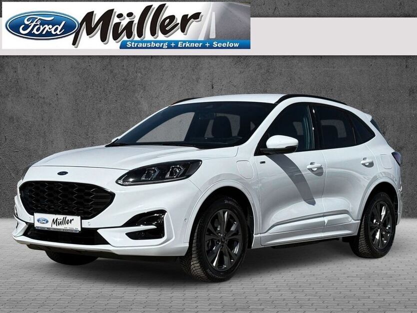 Kuga
