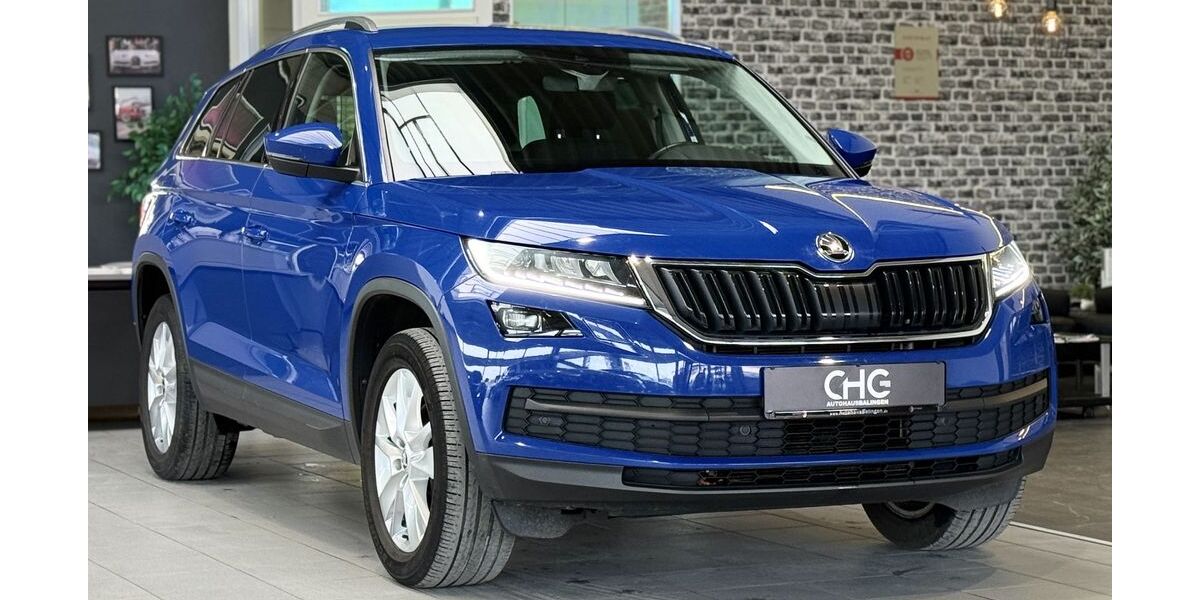 Skoda Kodiaq 118.300 km 20.490 &euro; Balingen 72336