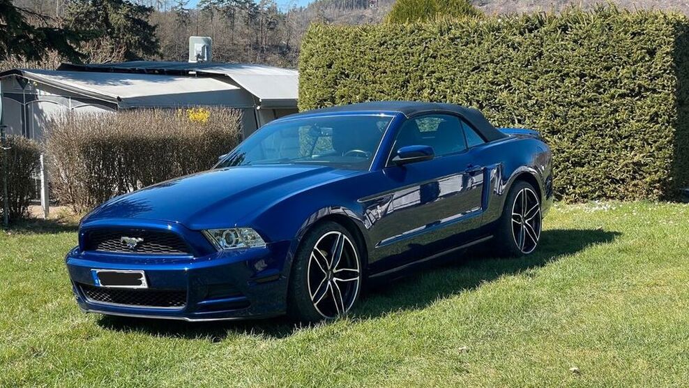 Mustang