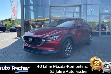 Mazda CX-30 3.000 km 32.590 € Karben 61184