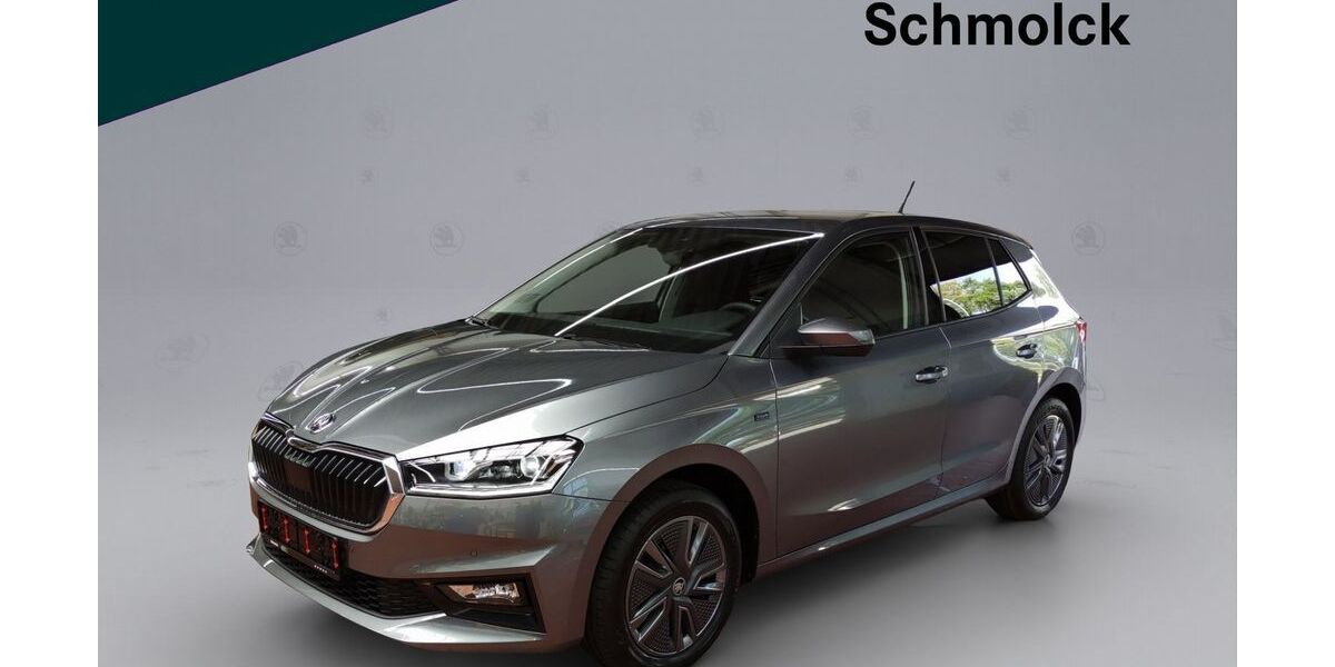 Skoda Fabia 9.000 km 17.890 &euro; Emmendingen 79312