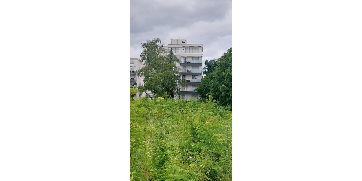 Provisionsfrei* Fast wie im Urlaub - 3 Zimmer mit Sonnenbalkon und Fernblick - komplett saniert *neuer Preis - Etagenwohnung Frankfurt am Main Oberrad | Angebot:27302370