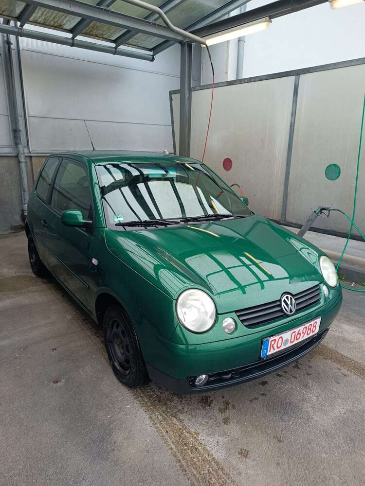 Lupo