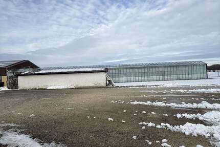 Sonstige Burgau Oberknöringen - 500.000&euro; | Angebot:25774005