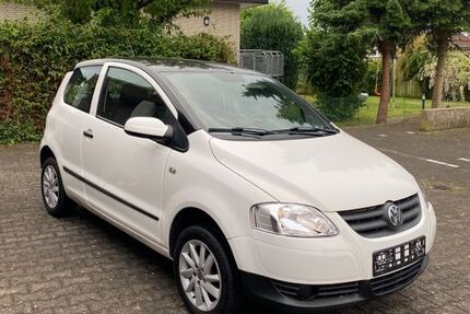 VW Fox