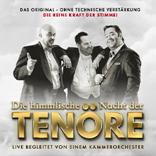 Himmlische Nacht der Tenöre - Das Original - Live und ohne technische Verstärkung 20.01.2026 Rathaus