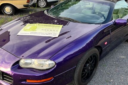 Chevrolet Camaro 177.000 km 4.999 &euro; Herzberg/Elster 04916