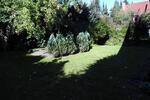 Hochparterre Buchholz in der Nordheide - 2 Zimmer, 56 m&sup2;, 186.000&euro; | Angebot:26430855