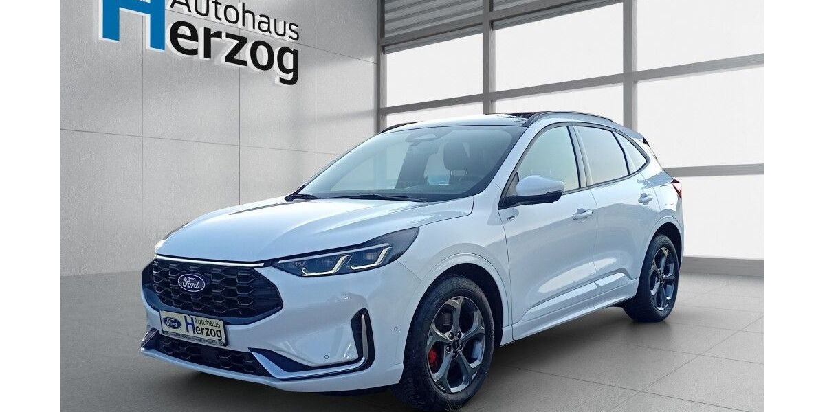 Ford Kuga 22.000 km 27.490 &euro; Schramberg 78713