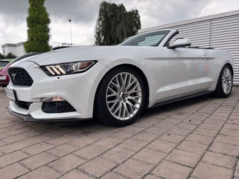 Mustang