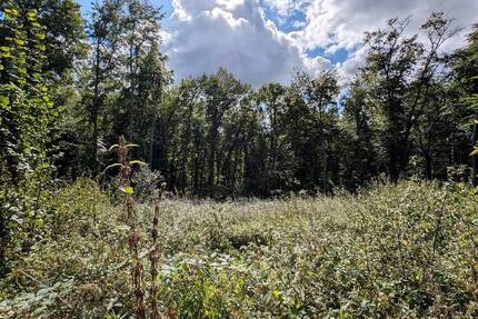 Baugrundstück in Villenlage am Eistruper Berg in Bissendorf zimmer