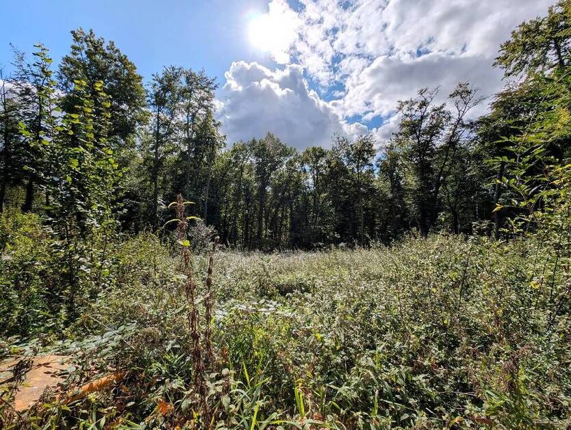Baugrundstück in Villenlage am Eistruper Berg in Bissendorf zimmer