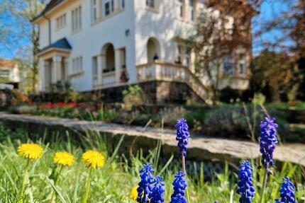 Gewerbeobjekt Großröhrsdorf - 300&euro; | Angebot:24478893