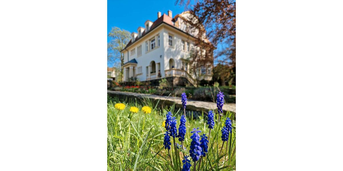 Gewerbeobjekt Großröhrsdorf - 300&euro; | Angebot:24478893