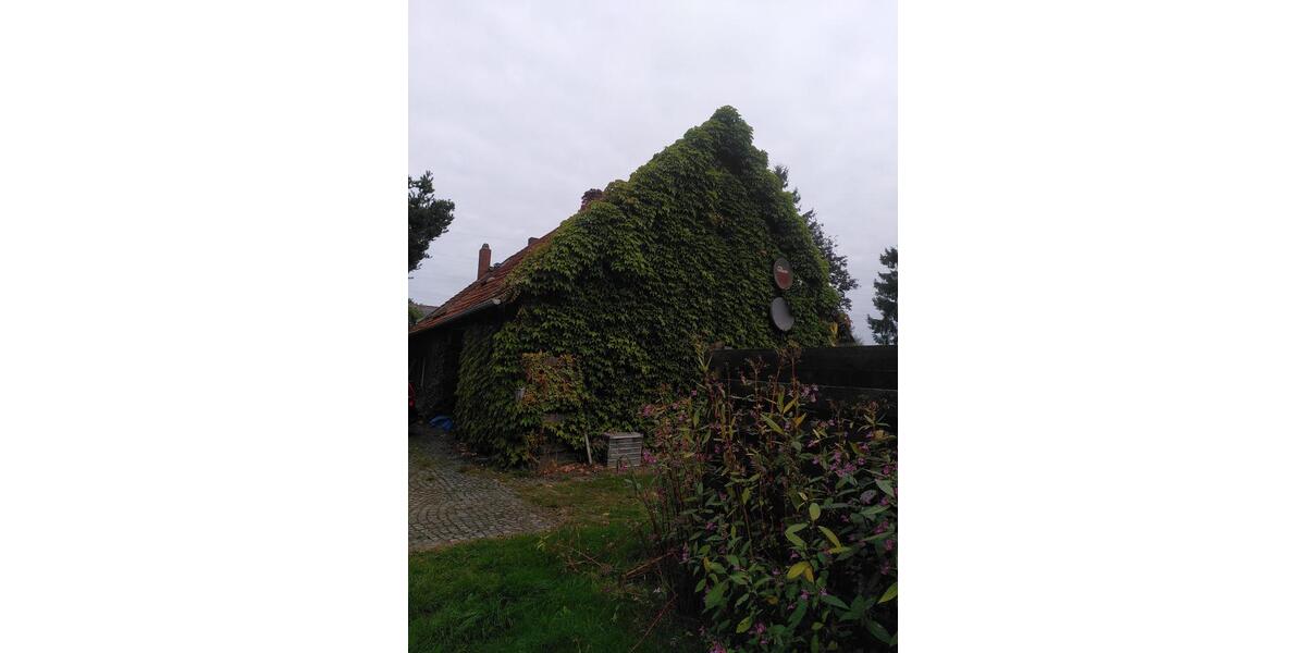 Bauernhaus, Landhaus Lienen - 6 Zimmer, 200 m&sup2;, 340.000&euro; | Angebot:27070761