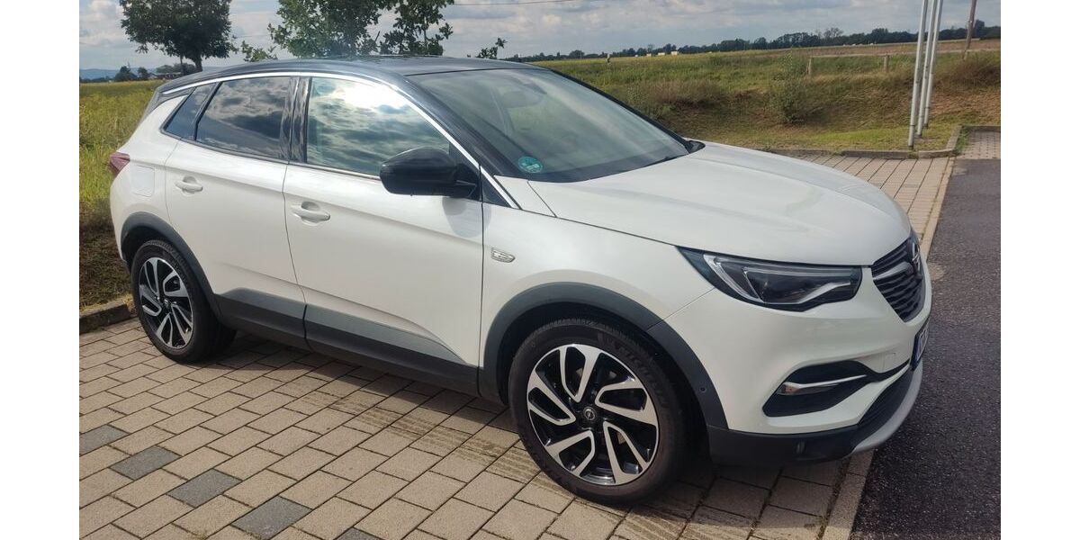 Opel Grandland (X) 167.800 km 8.800 &euro; Waldsee 67165