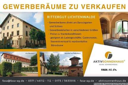 Historische Gewölbekeller in der alten Brennerei im Rittergut Lichtenwalde zimmer