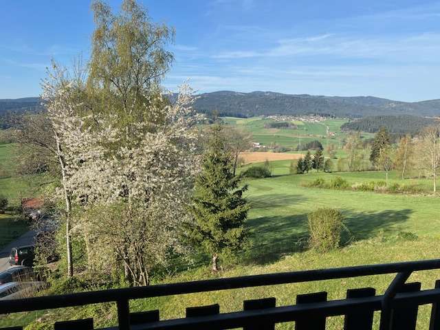 Etagenwohnung Regen - 1 Zimmer, 42 m&sup2;, 57.000&euro; | Angebot:24217748