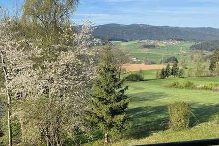 Wohnung Regen - 1 Zimmer, 42 m&sup2;, 57.000&euro; | Angebot:24217748