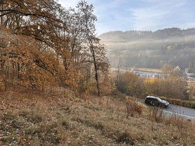 BAUAREAL IN NATURNAHER LAGE - Grundstück Bad Berneck im Fichtelgebirge | Angebot:26952118