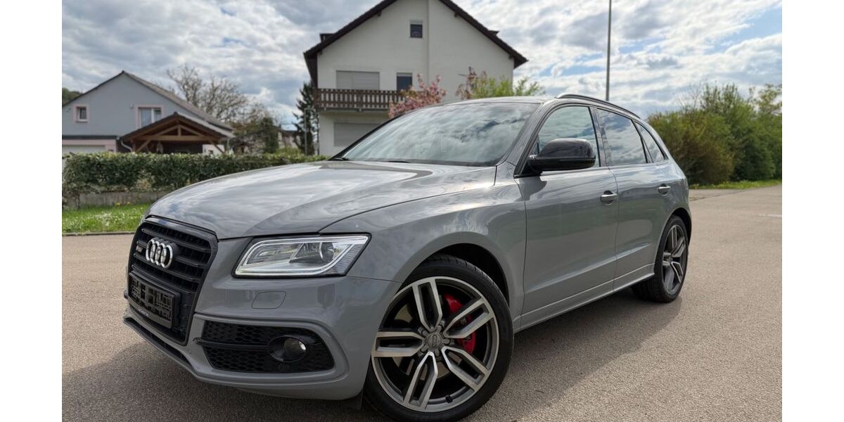 Audi SQ5 72.615 km 29.990 &euro; Konz 54329