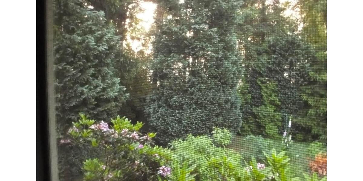 Bungalow Worpswede - 4 Zimmer, 133 m&sup2;, 263.000&euro; | Angebot:23541091