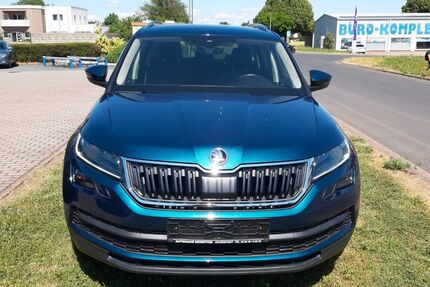 Skoda Kodiaq 113.000 km 19.000 &euro; Unstruttal OT Sollstedt 99996