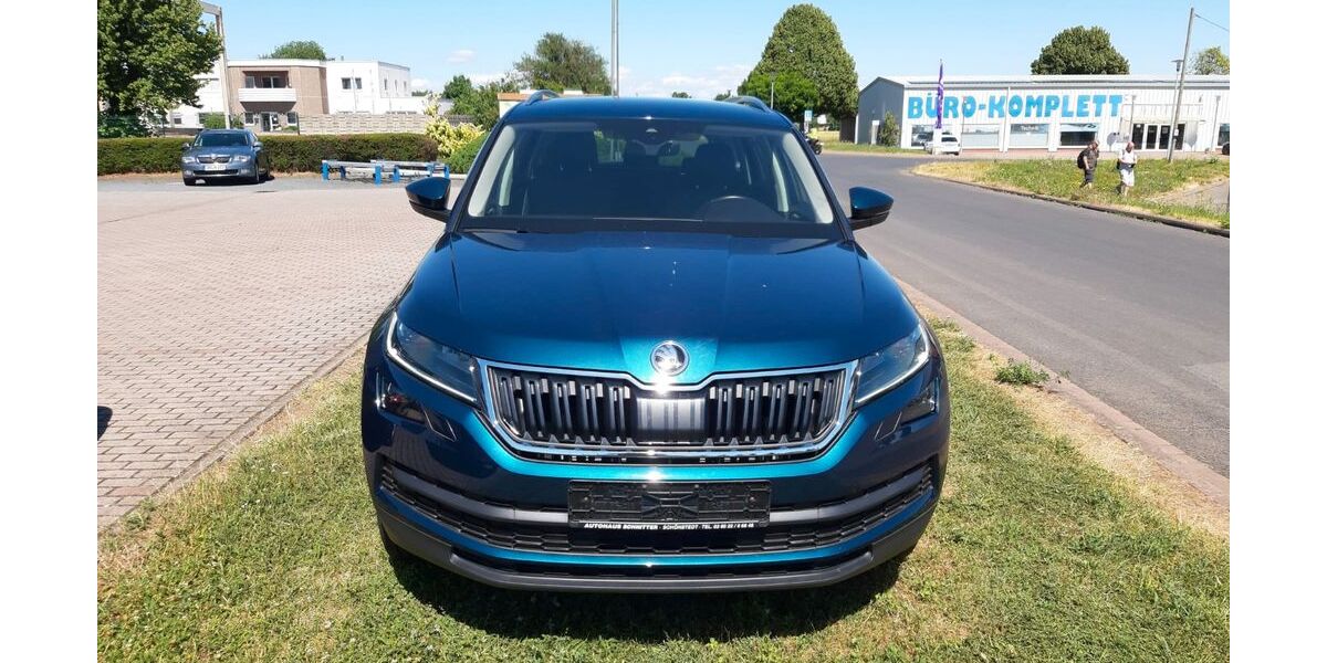 Skoda Kodiaq 113.000 km 19.000 &euro; Unstruttal OT Sollstedt 99996