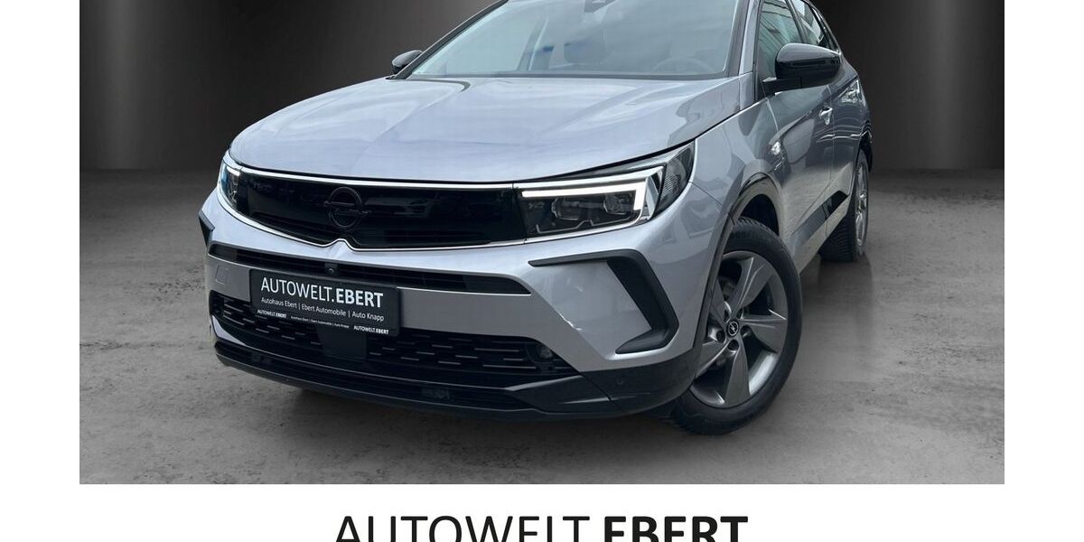 Opel Grandland (X) 9.300 km 23.890 &euro; Bensheim 64625