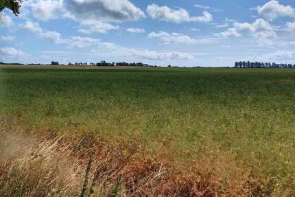 Grundstück in Stadtnähe zimmer